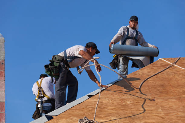 Best New Roof Installation  in Royal Palm Estates, FL