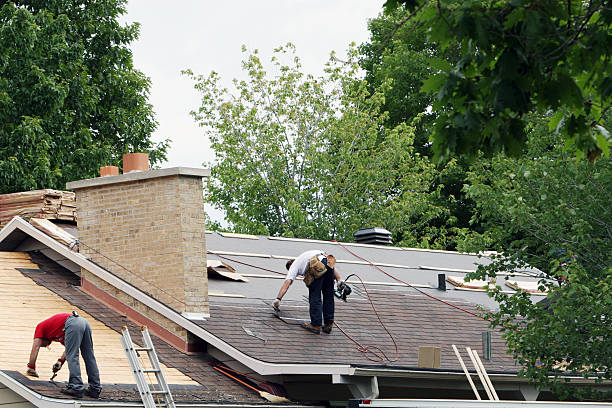 Best Storm Damage Roof Repair  in Royal Palm Estates, FL