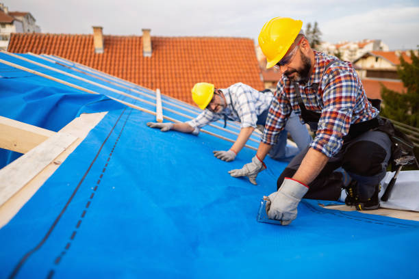 Best Residential Roofing Contractor  in Royal Palm Estates, FL