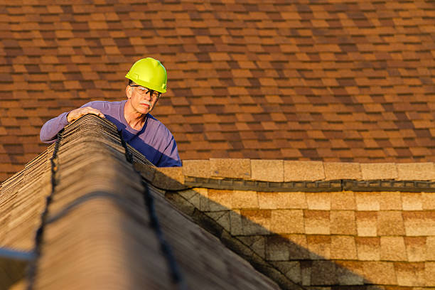Best Roof Waterproofing Services  in Royal Palm Estates, FL