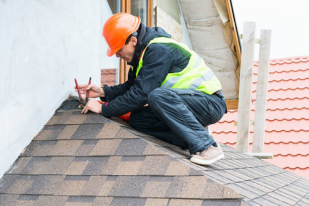 Best Commercial Roofing Services  in Royal Palm Estates, FL